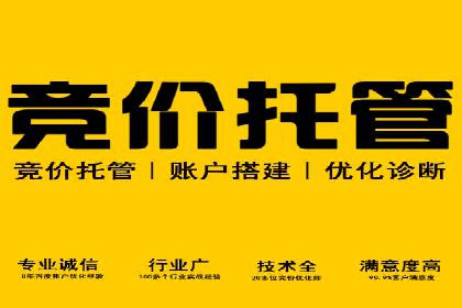 SEM推广策略：成功案例分享与启示